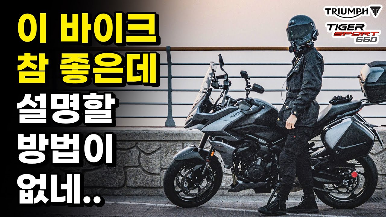 엄청 좋지만 인기는 없는.. 미들급 바이크 반년 주행 후기 | 트라이엄프 타이거스포츠 660