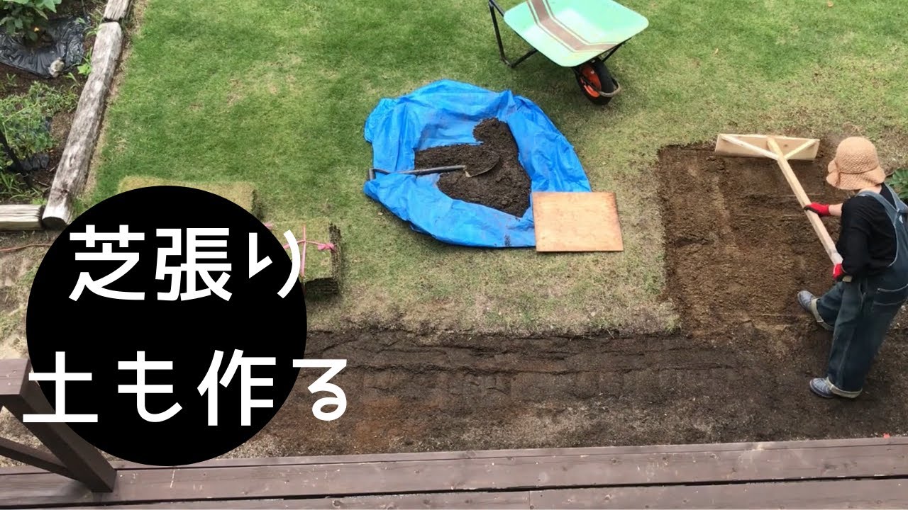 【芝生DIY】芝生張り/水はけの良い砂壌土を作ってはる/庭の再生