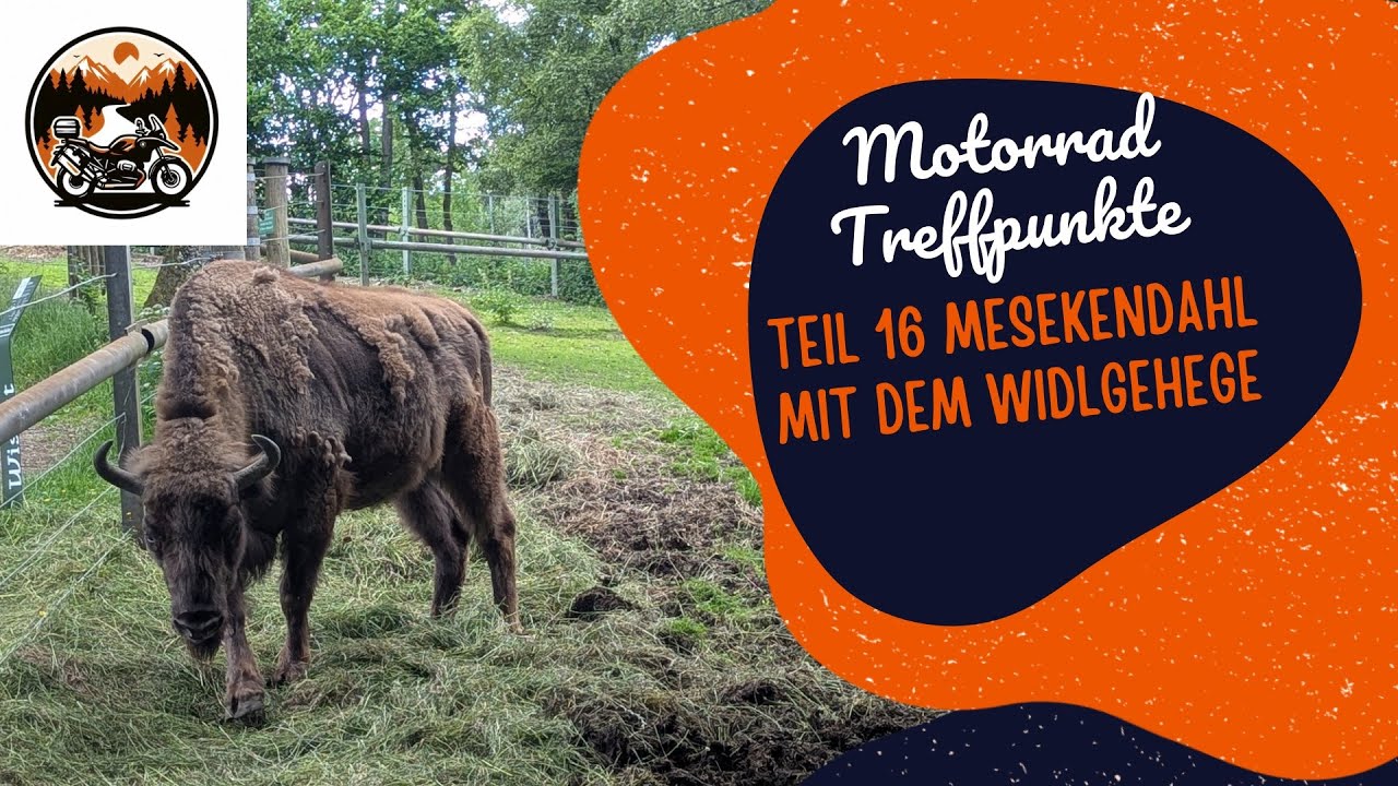 Bikertreff im Sauerland #Teil 16 - Mesekendahl mit dem Wildgehege