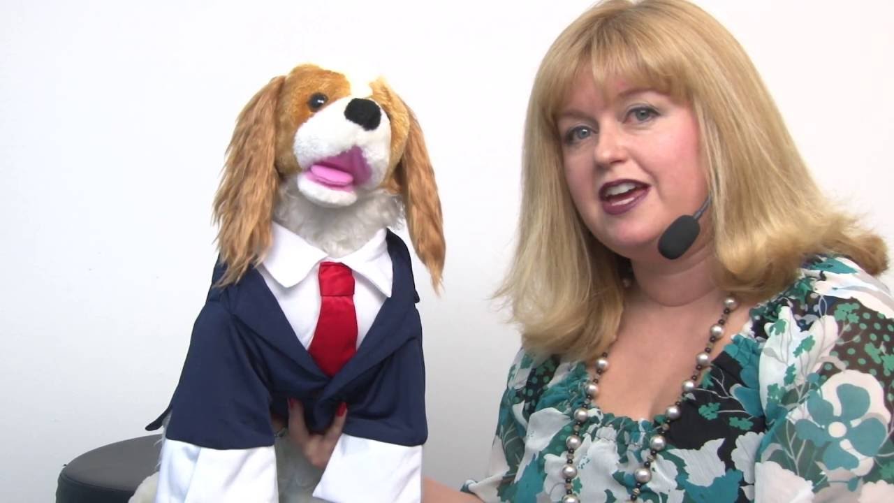 Business Suit Dog Costume - Navy