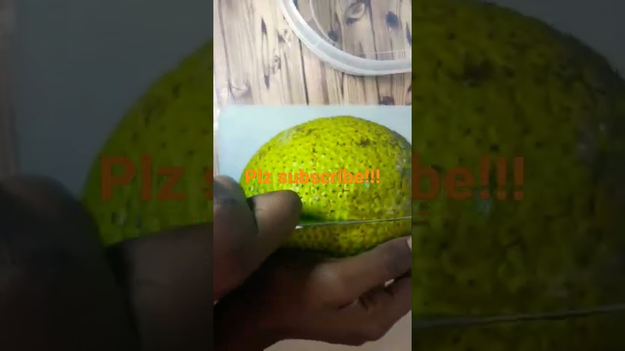 How to cook breadfruit!!