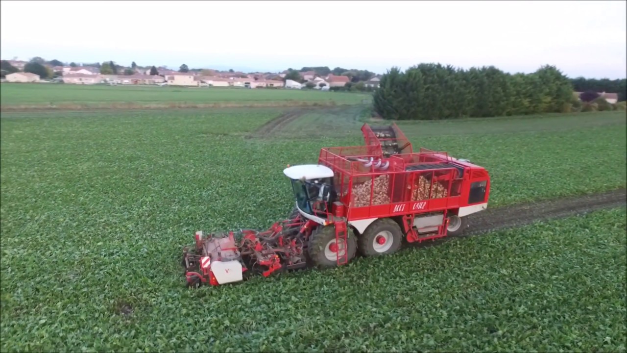 Vervaet Beet Eater 625 | JD 8230 et benne Maupu 3 essieux