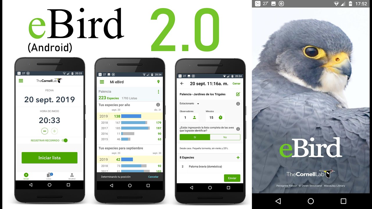 Vídeo tutorial eBird 2.0 para Android