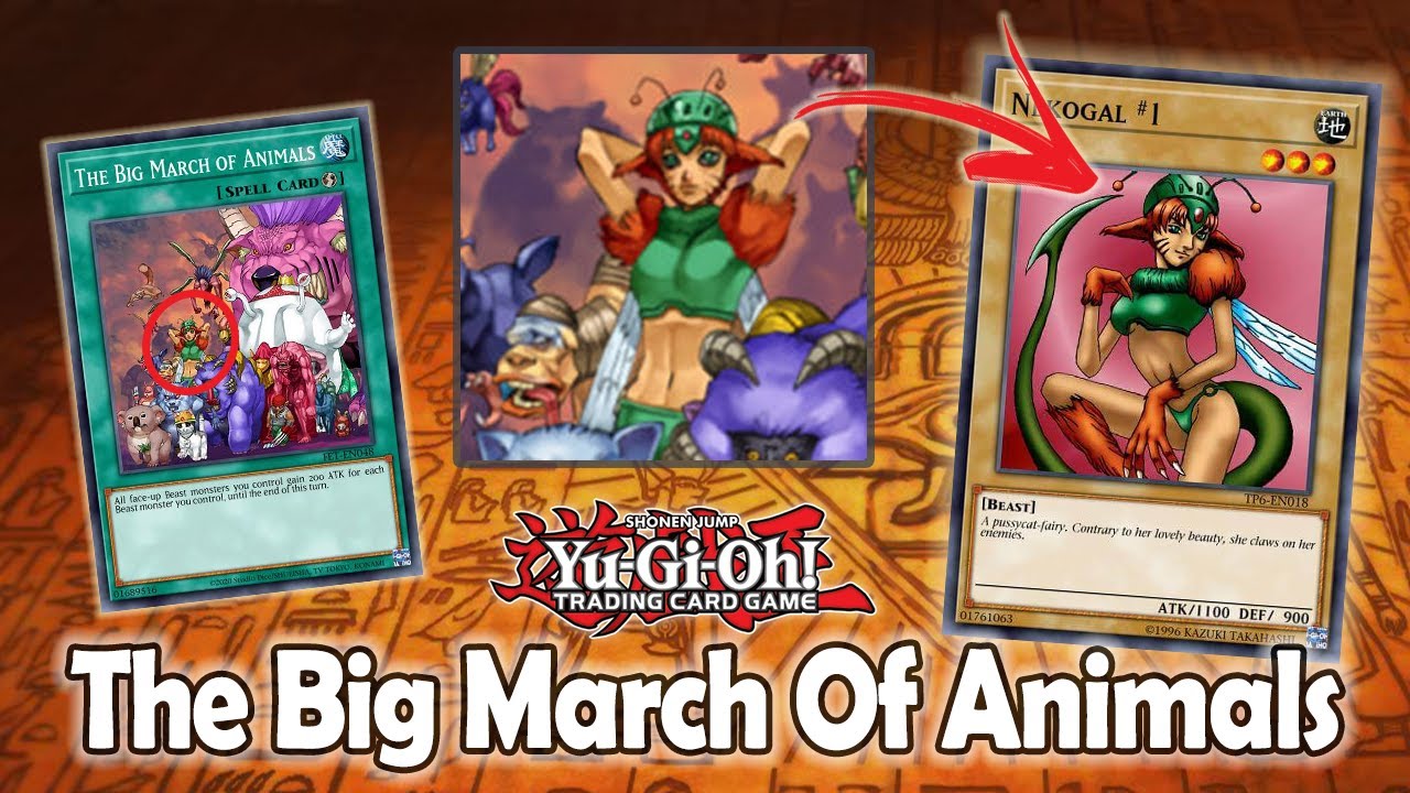 Yu-Gi-OH - All Monsters In the Card 