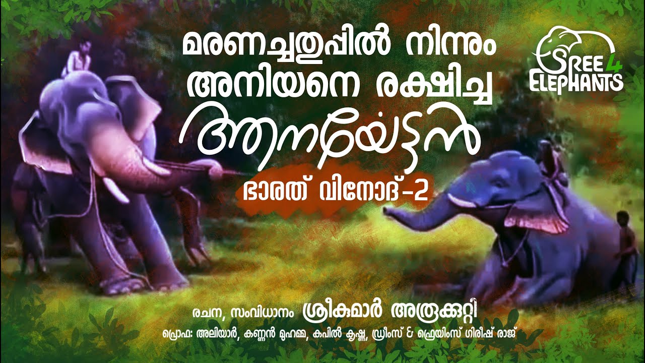 മനുഷ്യർ നിസ്സഹായരായപ്പോൾ അവസാനം അവൻ കളത്തിൽ ഇറങ്ങി....! 39 minutes of Goosebumps