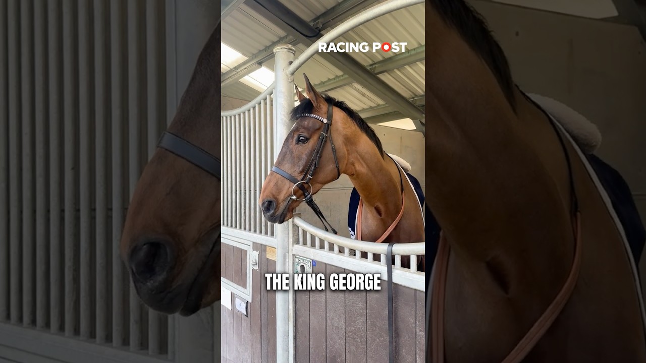 Ben Pauling is excited about THE JUKEBOX MAN ahead of the Cheltenham Festival | Stable Tours