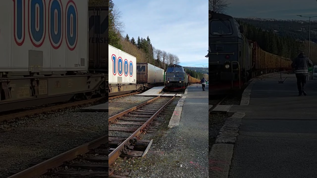 Grenland Rail 96285 krysser CargoNet 75734 i Haltdalen 25.oktober 2023.