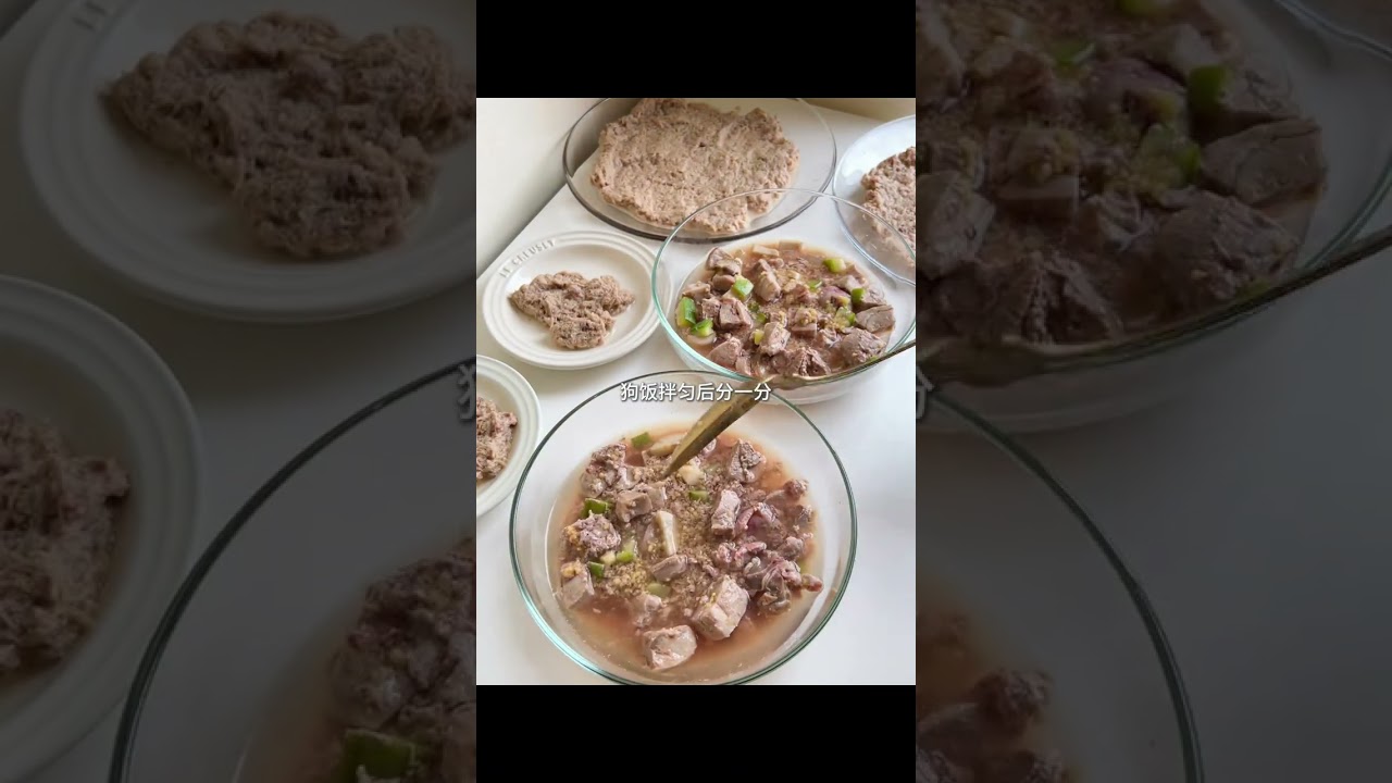 vlog给小猫小狗做饭的早上 #宠物配餐  #猫咪配餐  #自制狗饭  #养宠日常
