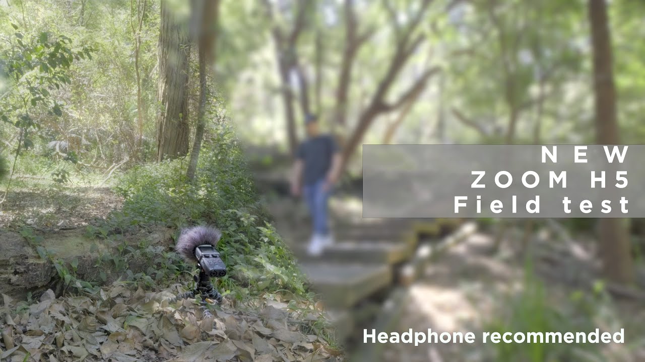 Sound of nature: Photographer's Zoom H5 recorder field test