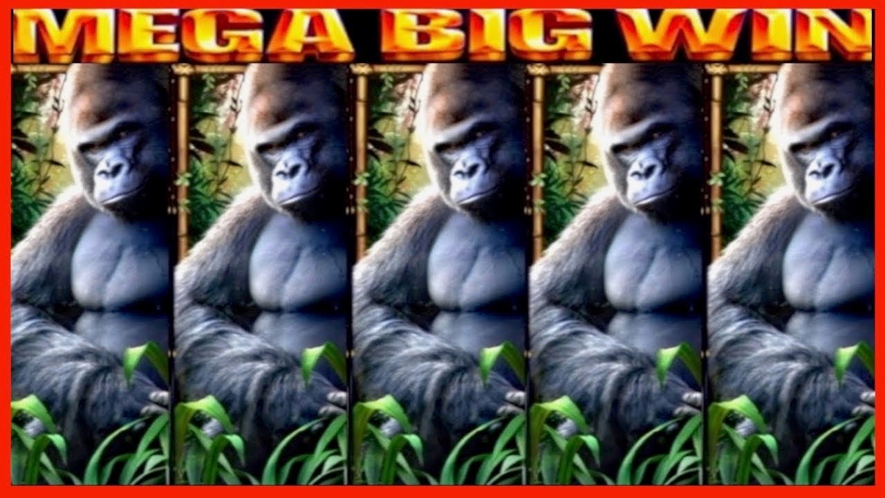 ★★JACKPOT HANDPAY★★$50 BETS★★QUEEN OF THE WILD HIGH LIMIT SLOT MACHINE BUENO DINERO MUSEUM SLOTS WMS