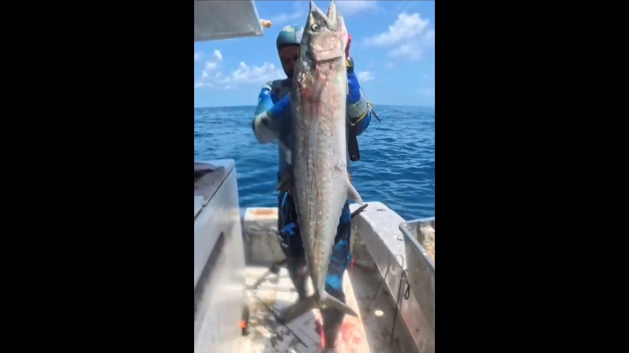 Junio 2025 ,pesca submarina en cayo hueso #serrucho