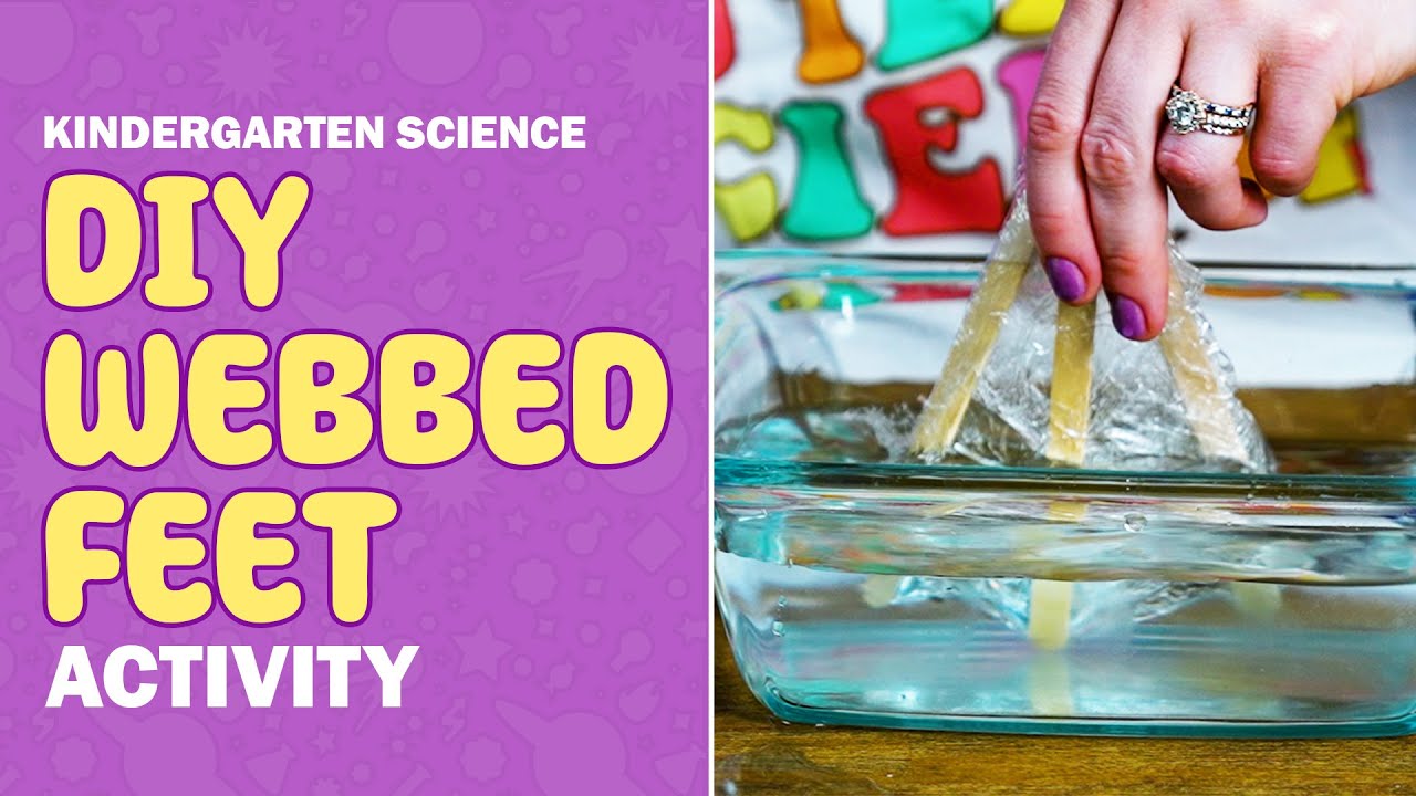 Webbed Feet DIY Hands-On Science Activity 🦆 Fun Science with Ms. Shelley | Kindergarten Grade NGSS