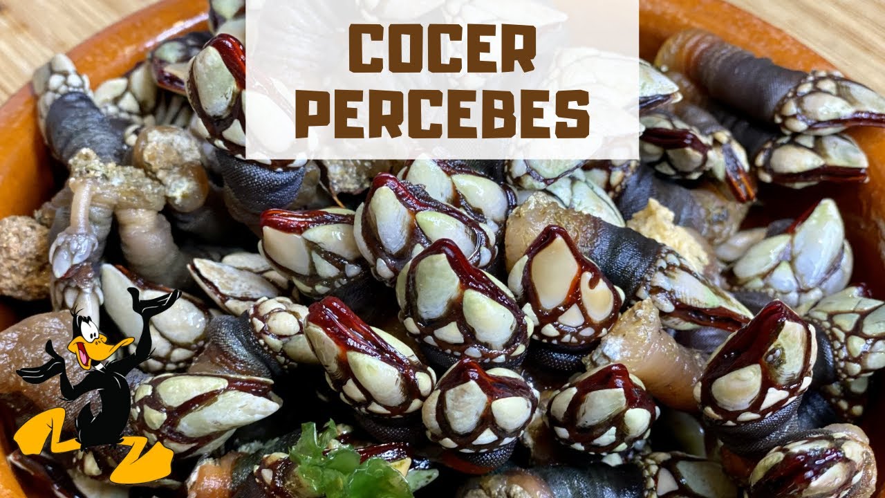 3 TRUCOS para Cocer Percebes 🤤 ¡TIEMPO DE COCCIÓN!