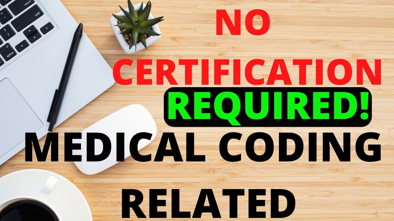 ALTERNATIVE JOBS FOR NEW MEDICAL CODERS | NO CERTIFICATION REQUIRED