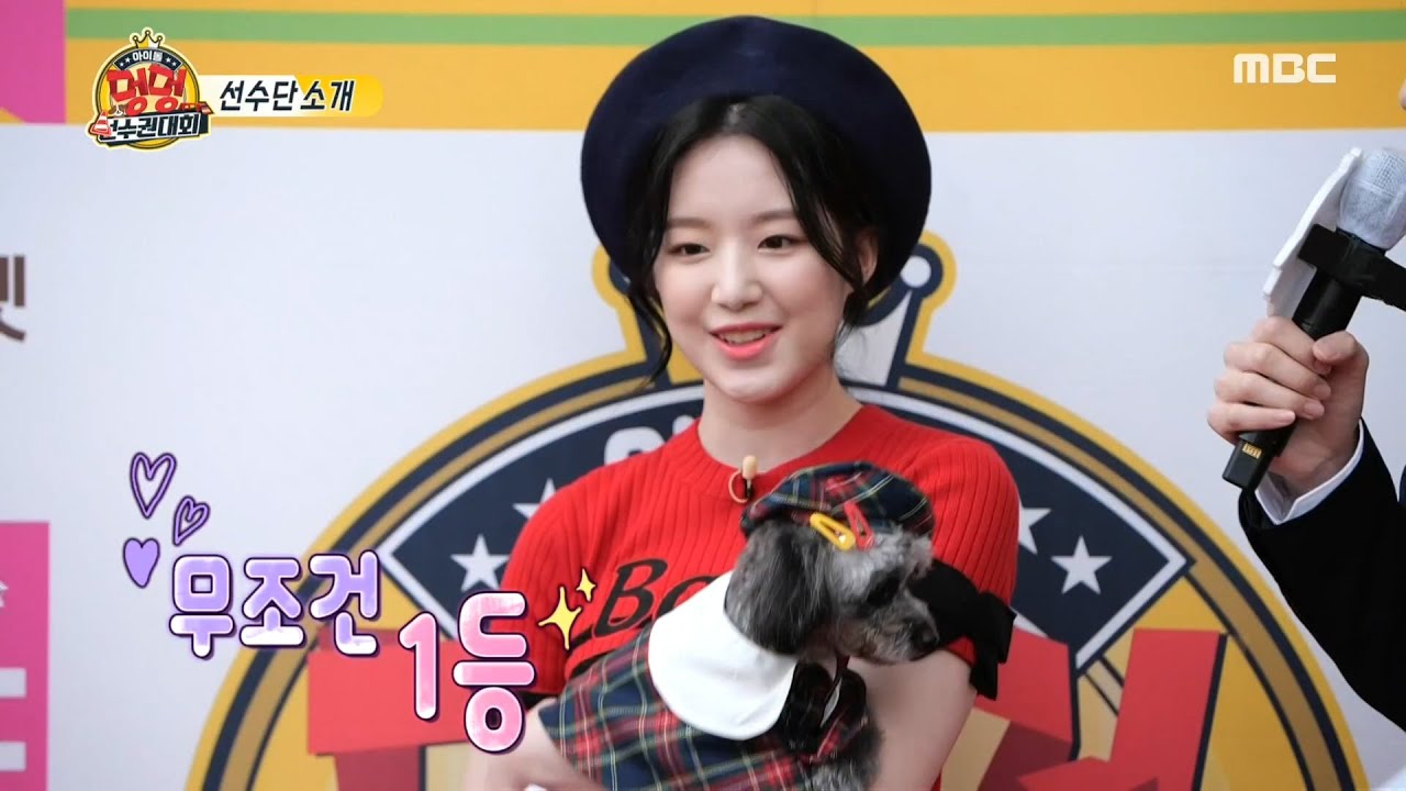 [2020 아이돌 멍멍 선수권 대회] 1등을 노리는 슈화 ♡ 하쿠~! 케미 폭발♨ MBC 201002 방송