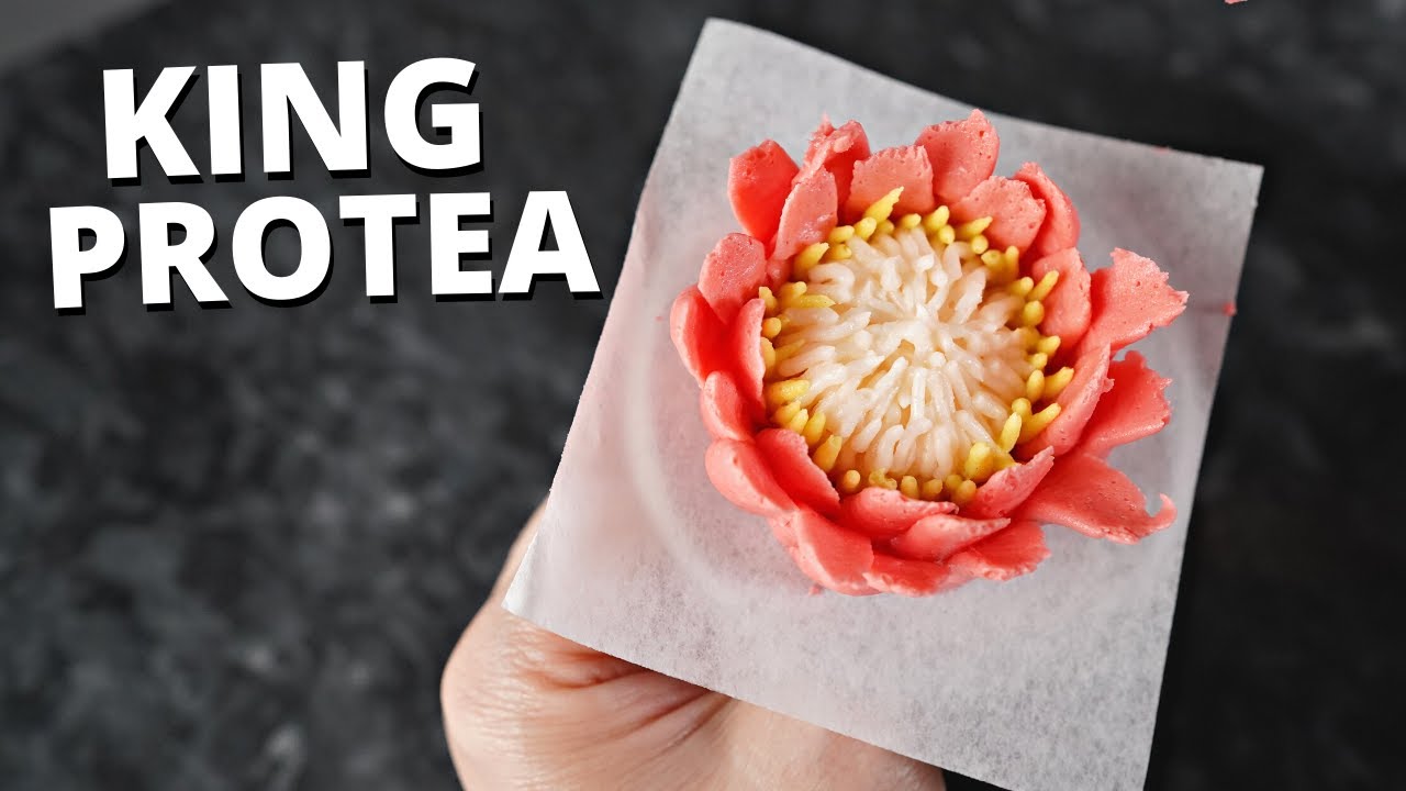 How to pipe buttercream king protea