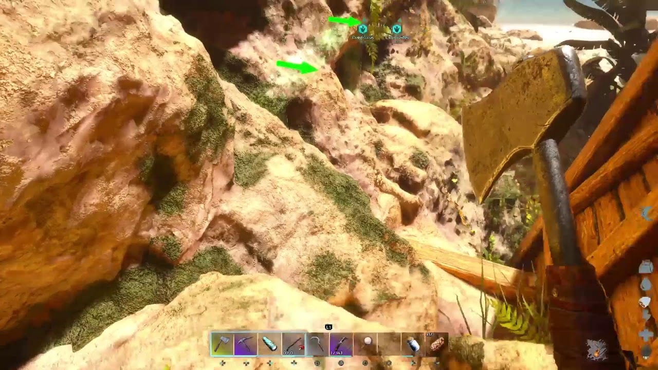 Ark