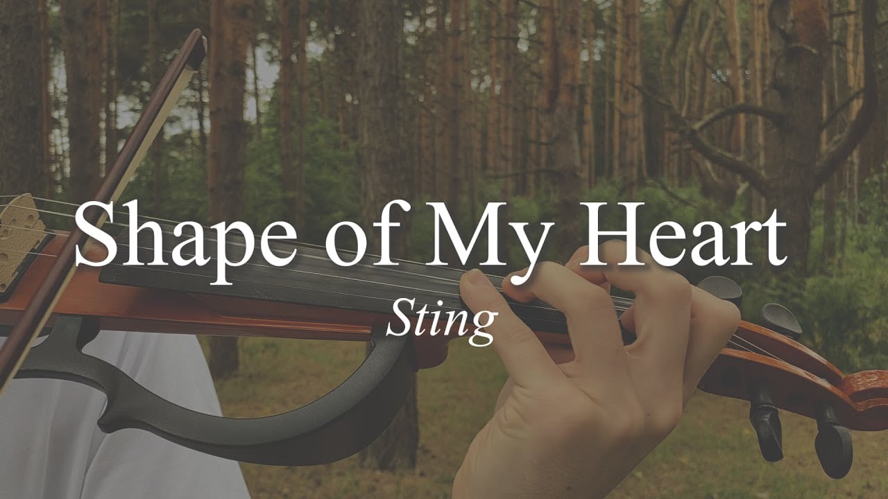 Shape of My Heart - Sting | Violin Cover - David Tokarchuk