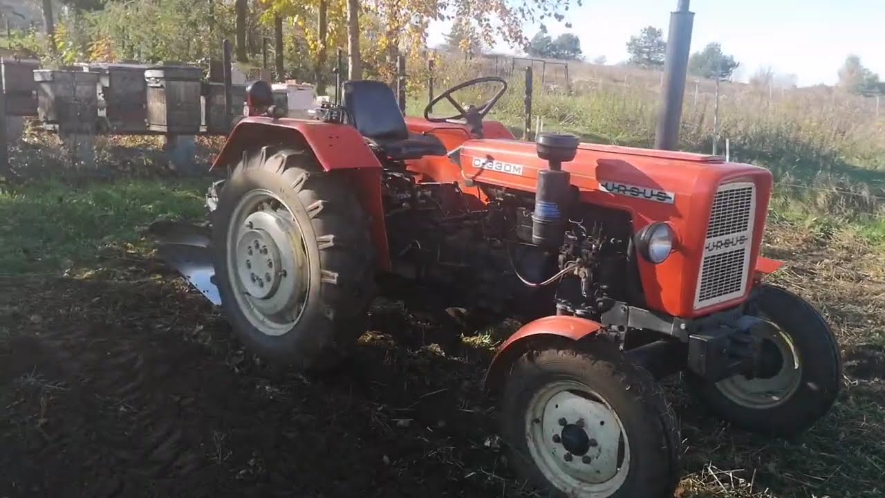 Ursus c 330 M orka plus kultywator. Przygotowanie pola pod warzywa na następny rok.