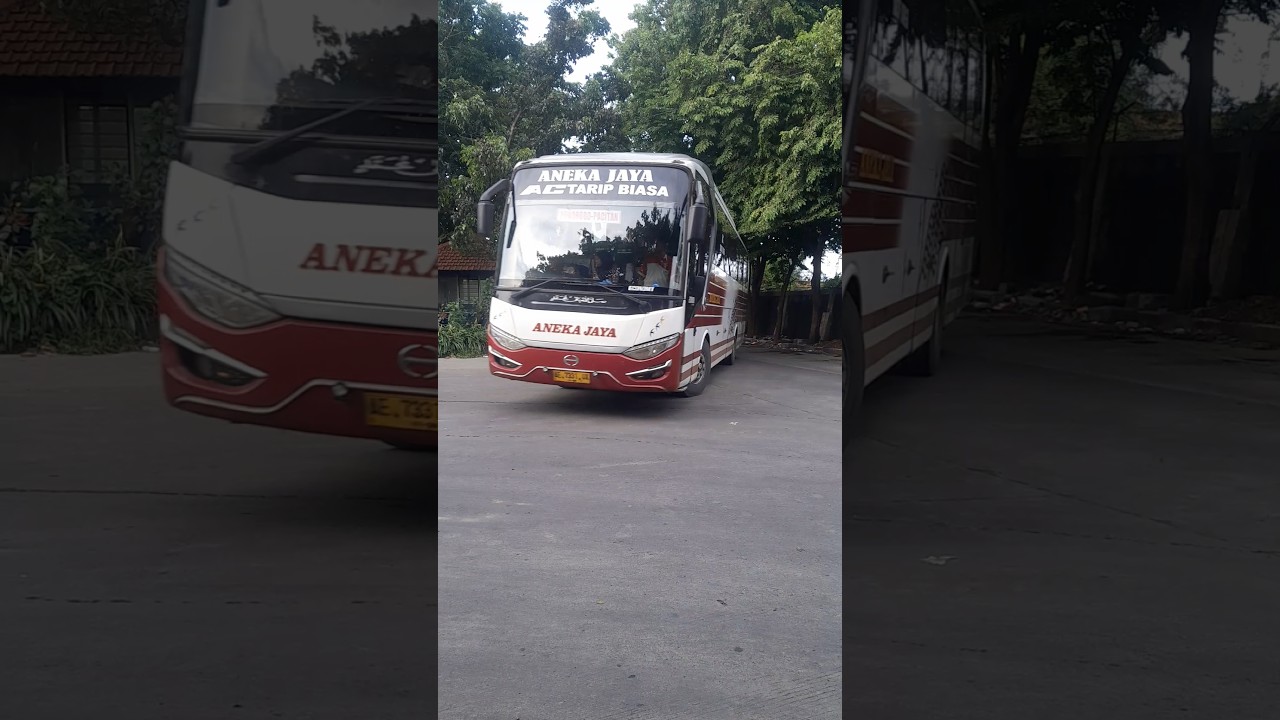 bus aneka jaya ATB sby-pacitan 