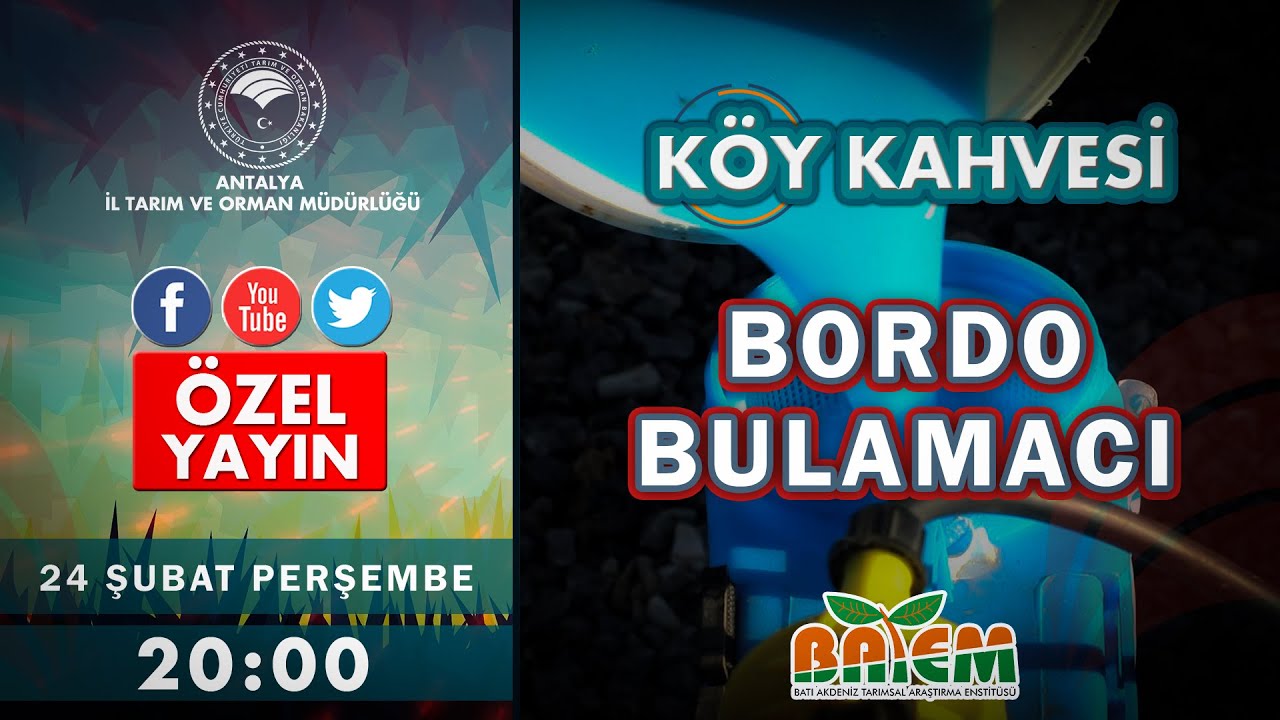 BORDO BULAMACI NEDİR? NASIL YAPILIR? Köy Kahvesi