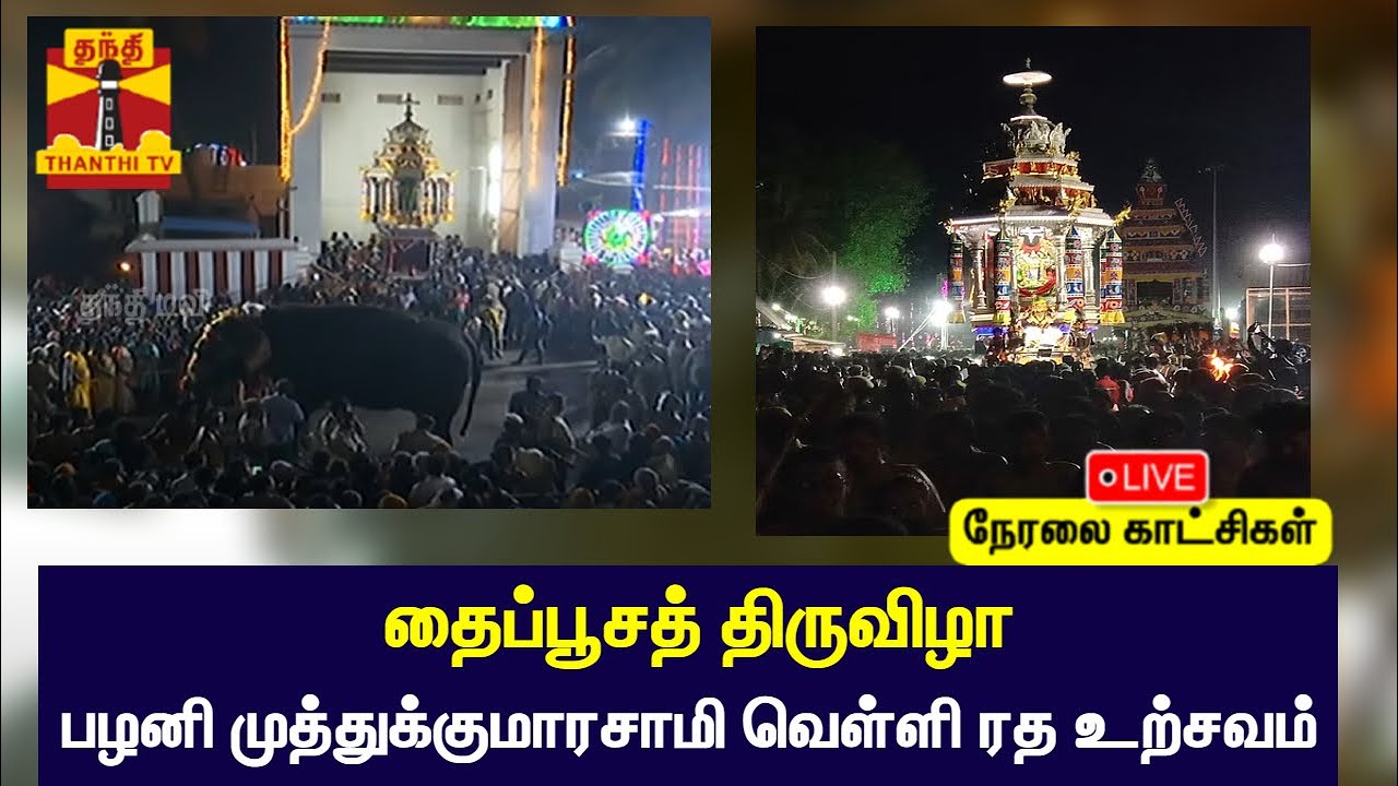 🔴LIVE : தைப்பூசத் திருவிழா - பழனி முத்துக்குமாரசாமி வெள்ளி ரத உற்சவம் | Palani | நேரலை காட்சிகள்