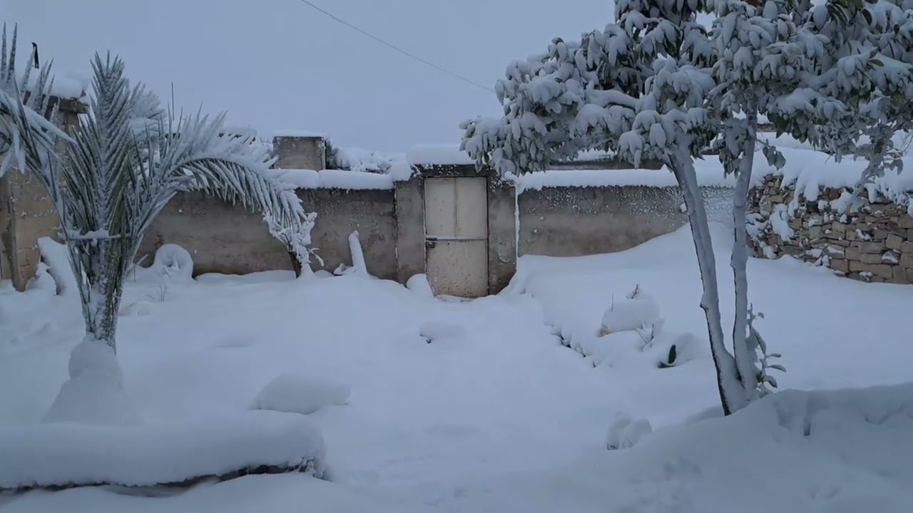 تلج عفرين 23/01/2026