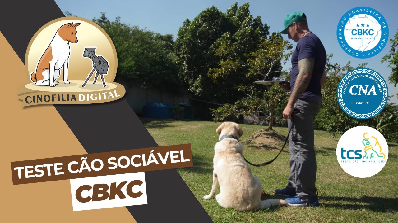 Teste C&atilde;o Soci&aacute;vel (TCS CBKC) | Cinofilia Digital