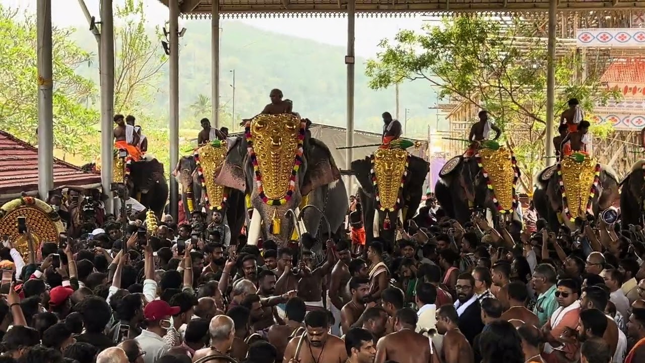 ഉത്രാളി -കുമാരനെല്ലൂർ ദേശം #elephant   #shorts #pooram #tour  #vedikett   #firework