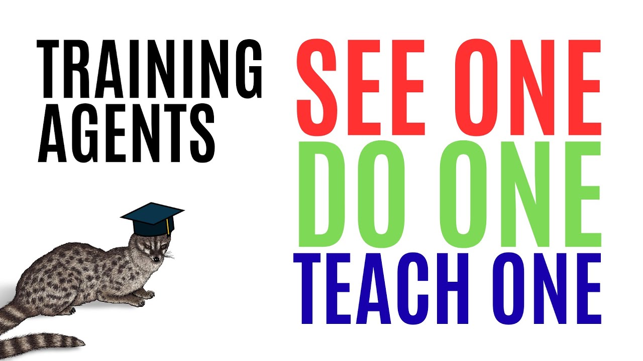 See one, Do one, Teach one - Training an AI Agent