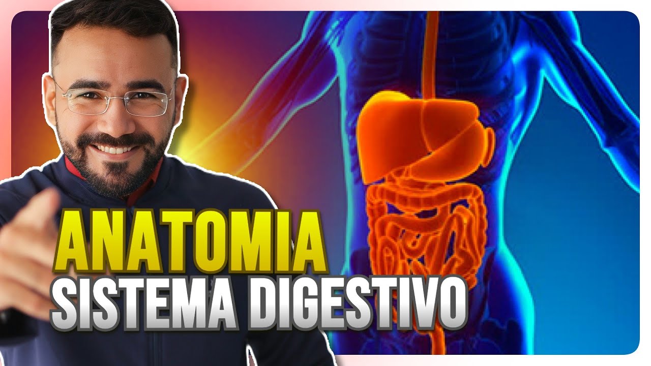 ANATOMIA DO SISTEMA DIGESTÓRIO (FÁCIL E RÁPIDO)