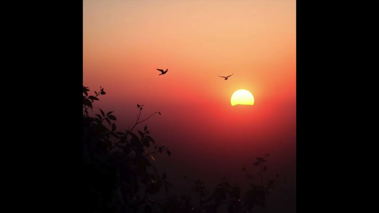 [FREE FOR PROFIT] Frank Ocean Channel Orange Type Beat - Sunrise