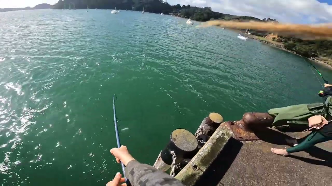 Fishing at Whangaroa wharf. June 2022