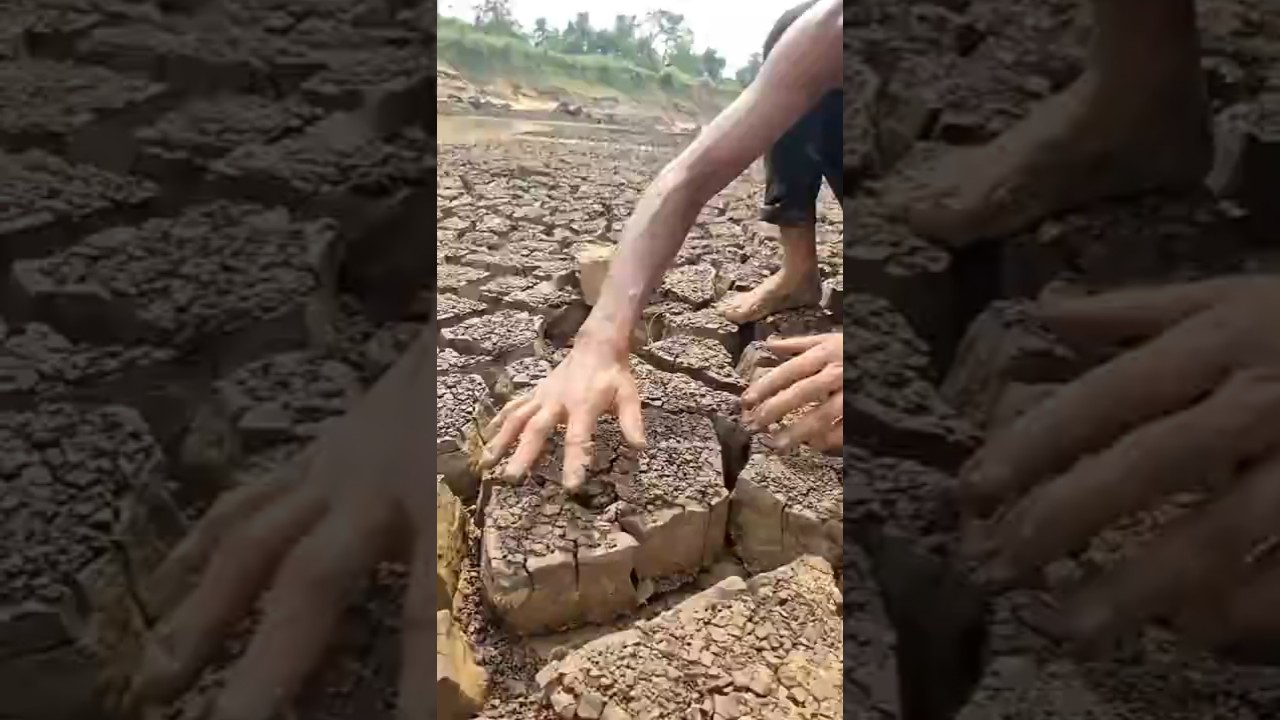 Catching Catfish in Dried Mud