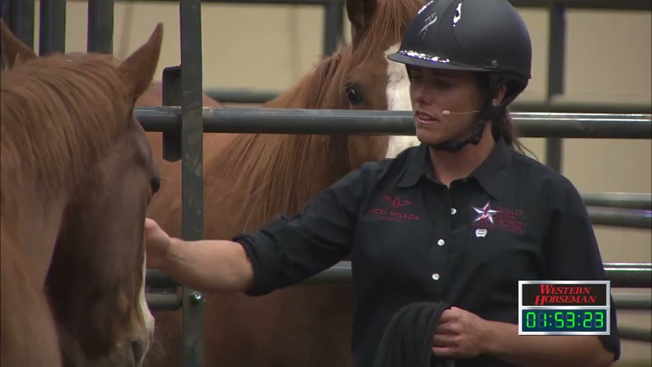 Road to the Horse 2019 - Round One