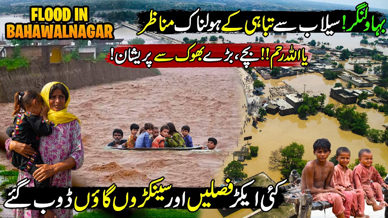 Severe Floods Devastate South Punjab | Bahawalnagar Flood Situation | Punjab Flood 2025 | Zoom In