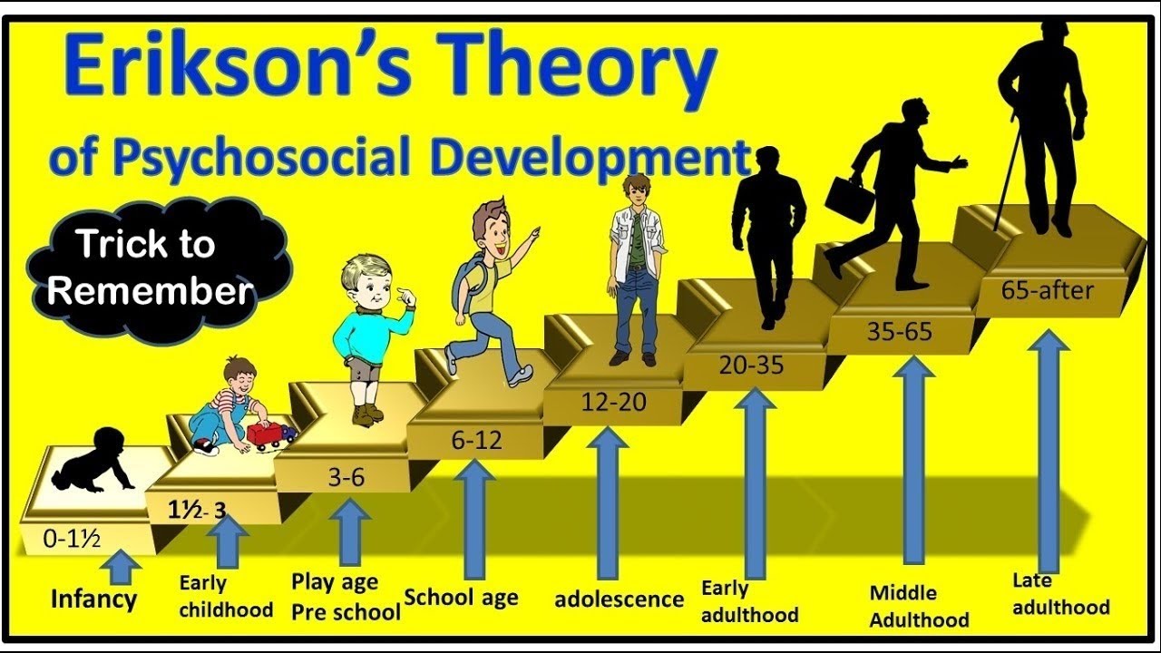 Erickson's theory of Psychosocial Development Imp for DSSSB PRT All Stages CDP theory 