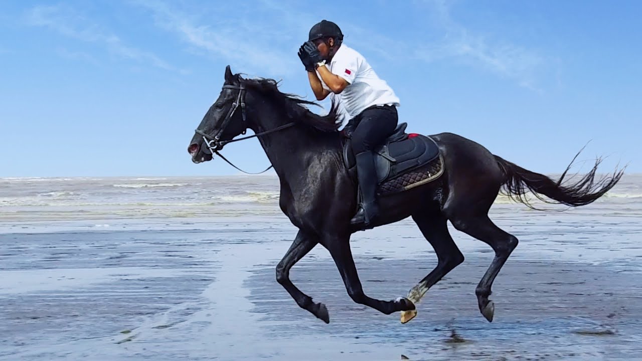 BEACH HORSE RIDE - PART 2 || Team SARA FARMS' visits JOLLY GURU HORSE RIDING CLUB