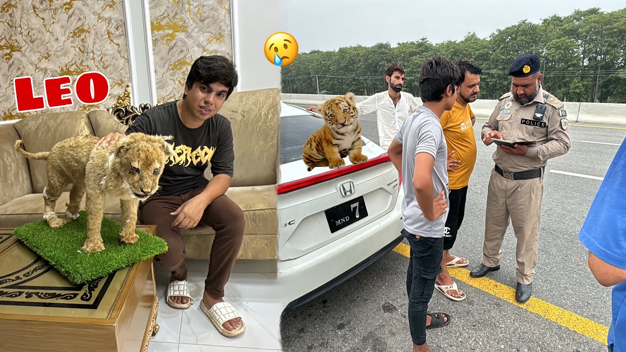 Tiger Or Hama Police Ny Pakar Lea 😰 Leo Bhi Wapas Agea 😢