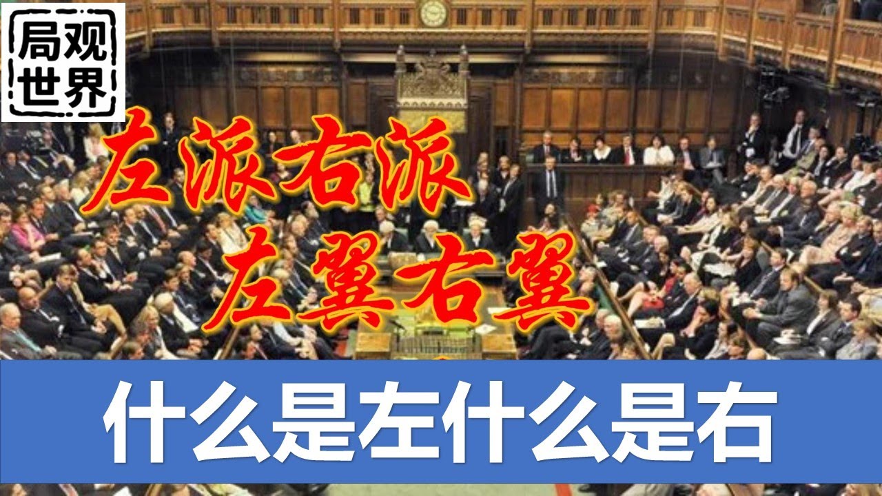 什么是左派、什么是右派#左翼#右翼#左倾#右倾