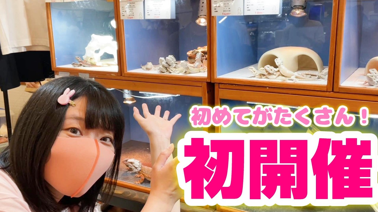 爬虫類イベント🦎初開催🎉ジャングルハンター豊橋に潜入ッ！
