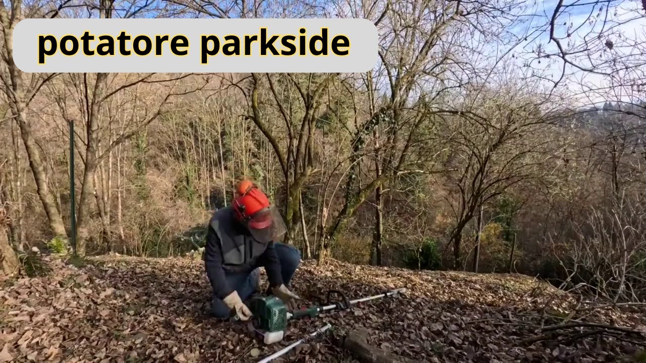 potature e pulizie della zona nord-est della cascina....