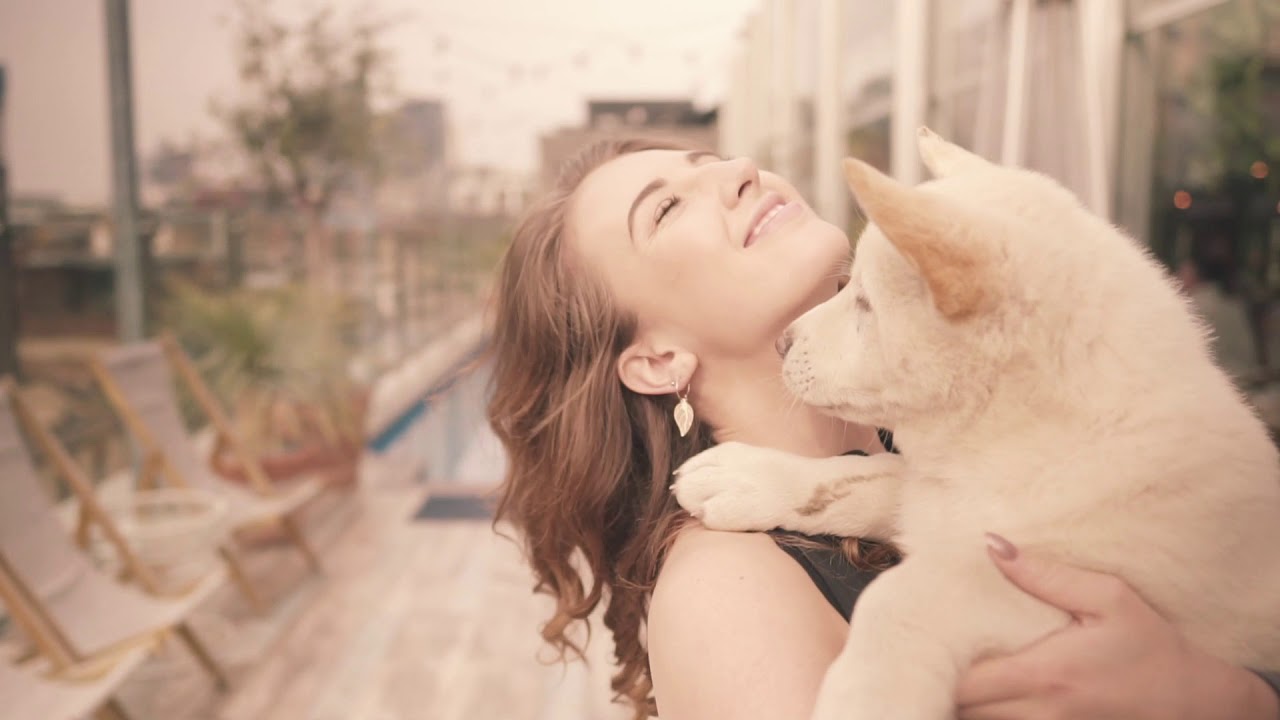Yoga with Puppies - Pets Yoga - London Rooftop - Akitas puppies