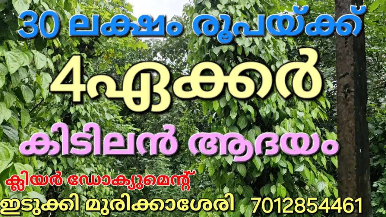 SOLD OUT..30 ലക്ഷം രൂപയ്ക്ക് 4ഏക്കർ ആദയമുള്ള സ്ഥലം.ഡോക്യുമെന്റ് ക്ലിയർ ആണ്.വഴി വെള്ളം. ഇടുക്കി 