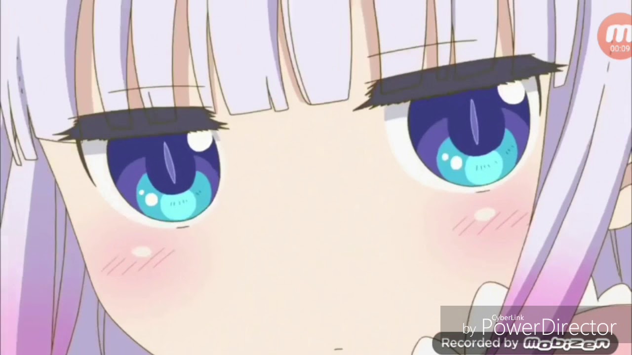SWAT in Anime