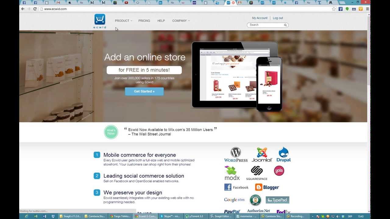 Ecwid ecommerce