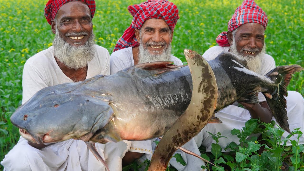 The Devil Catfish Curry Recipe - Giant Dwarf Goonch Fish Cooking - Food For Old Age Special People