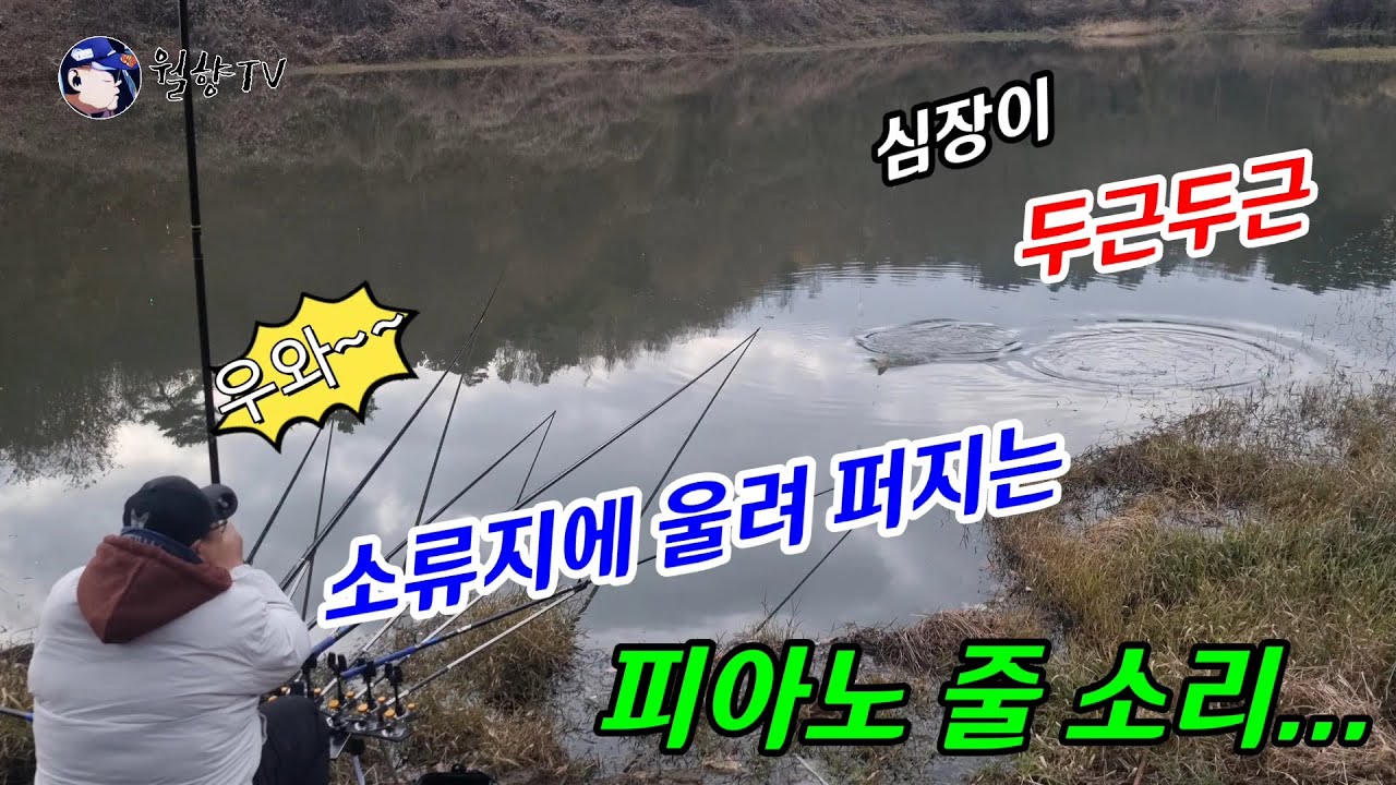#붕어낚시 // 심장이 두근두근 // 소류지에 울려 퍼지는 피아노 줄 소리... (Korea Carp fishing) (Korea big fishing)