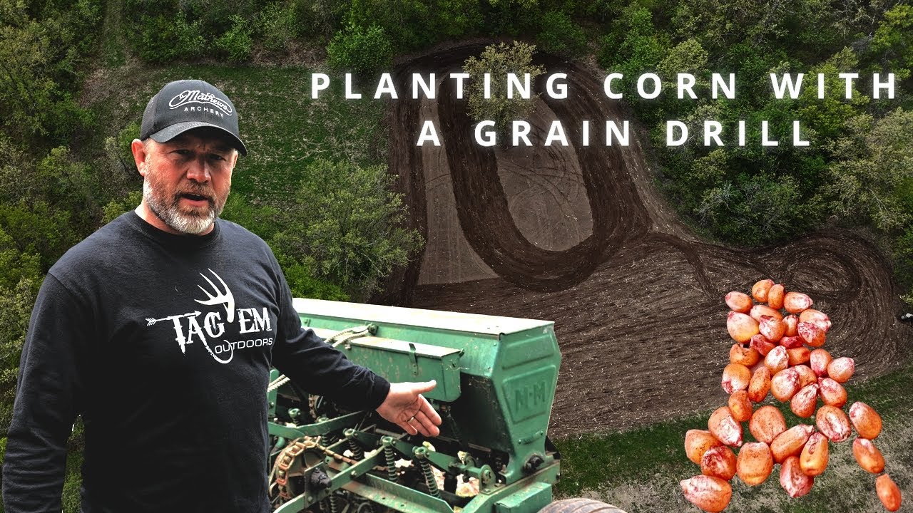Planting Corn with a Grain Drill | Will It Work?