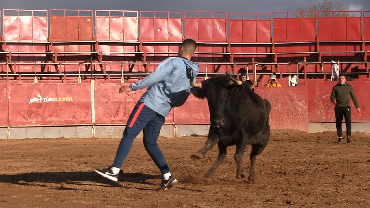 Entrenamiento de recortadores! Reversos, quiebros, enfiladas...